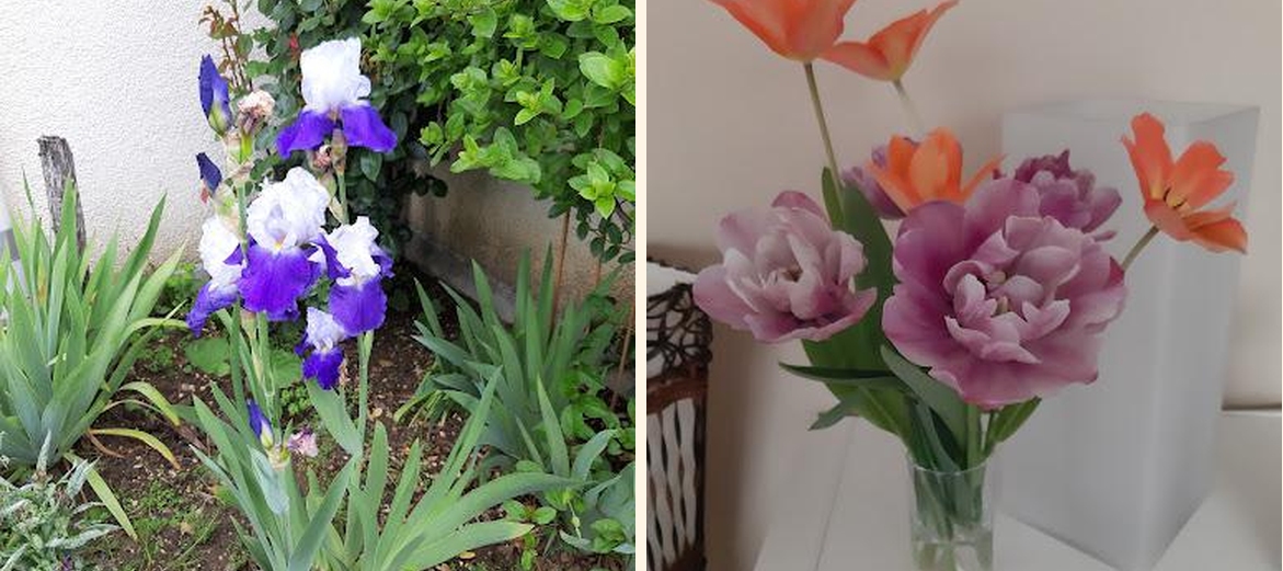 Lotus d'or - Menu Image 3